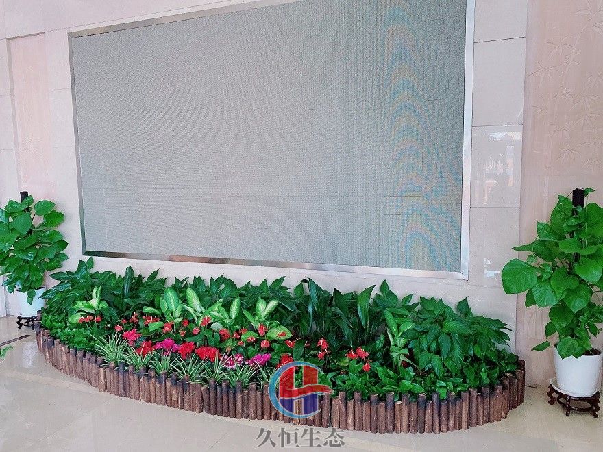 嘉兴企业大厅显示屏组合花卉绿植摆放